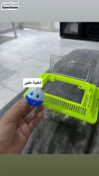 السلام عليكم قفص مال فروخ طير اللوف بيرد او الروز القفص مستعمل للتجربة فقط و شرق النظافة و حيل حلووو 4