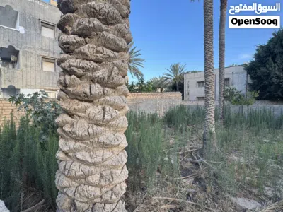 أرض للبيع في عرادة بالقرب من معهد الأوقاف 3