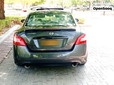 Nissan Maxima Standard 3