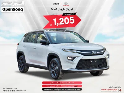 Toyota Urban Cruiser GLX 2