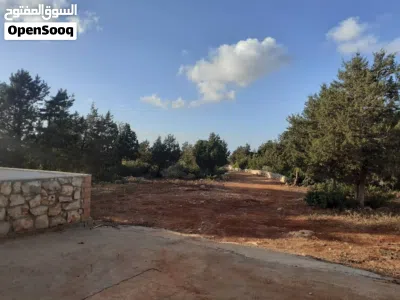 إستراحة بمساحة هكنار و 300م 4