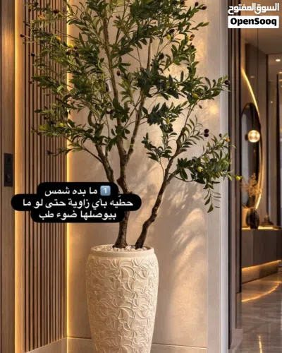 شجر صناعي تشكيلة ضخمة ومميزة 2