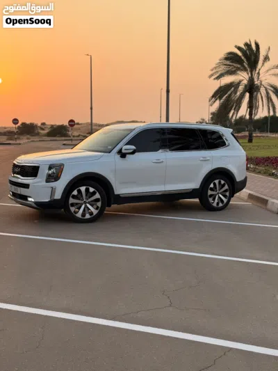 Kia Telluride EX 4