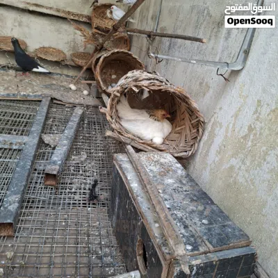 undefined 2