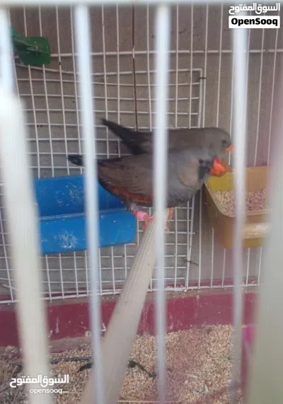 undefined 2