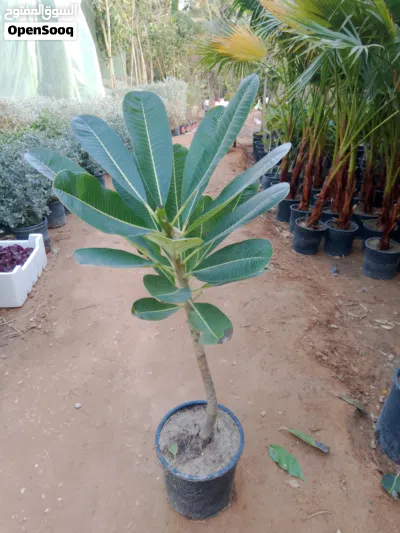 undefined 2
