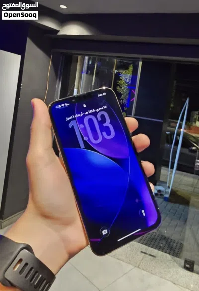IPHONE 13 pro max 4