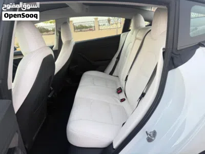 Tesla Model 3 Standard 4