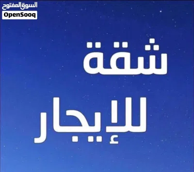 مطلوب شقة للإيجار 3