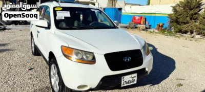Hyundai Santa Fe Standard 4
