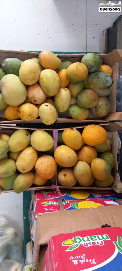 Mango Oman 6kg 2