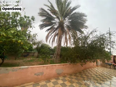 undefined 4