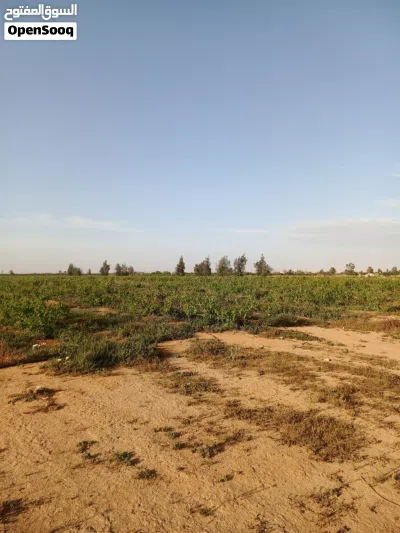 مزرعة للبيع 4
