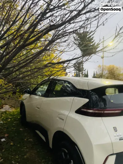 BYD Song L 4