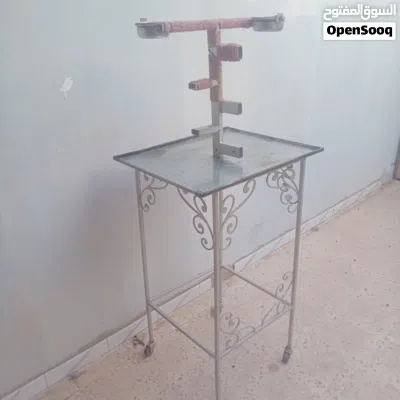 حاملة طائر الببغاء 4