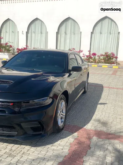 Dodge Charger SRT 392 3