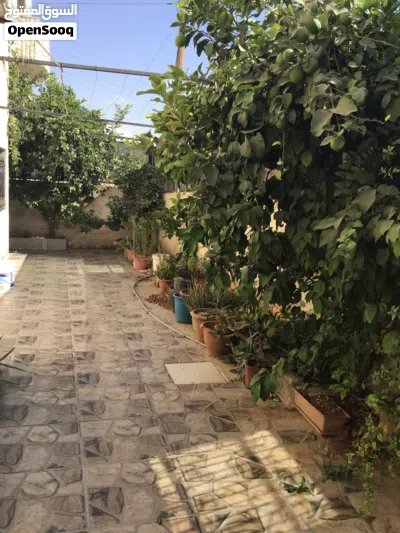 بيت مستقل ع الشارع الرئيسي 2