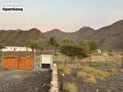 مزرعة للبيع في ولاية إزكي في منطقة الرسيس يوجد في المزرعة فلج خاص لها المزرعة موقعها إستراتيجي مميز 4