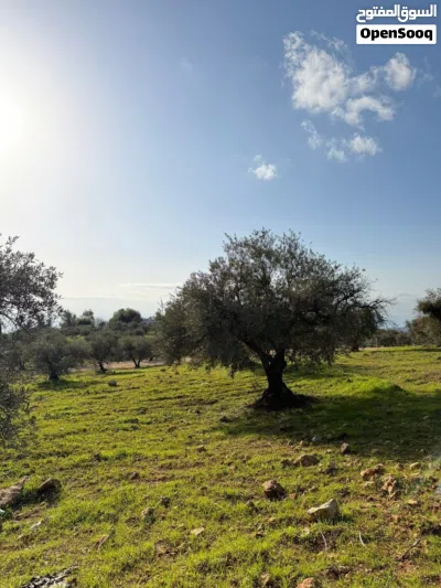 undefined 3