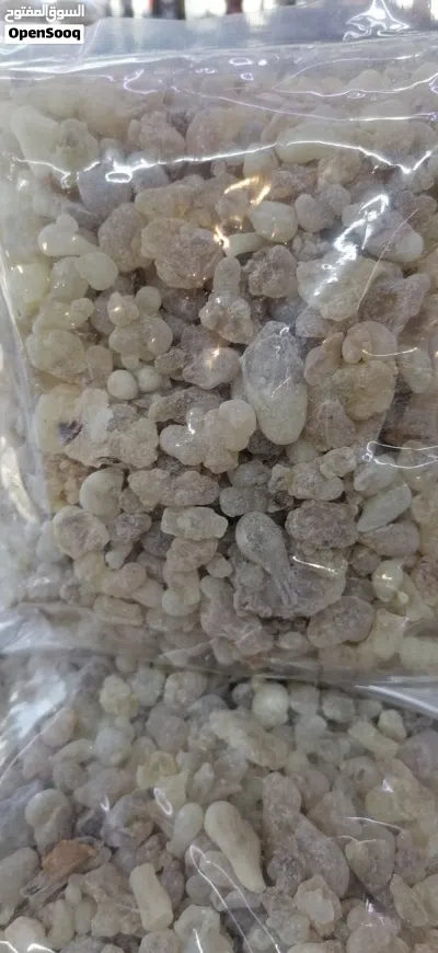 لبان حوجري دكر للعلاج والاكل والشرب.. نقي وصافي.. 4