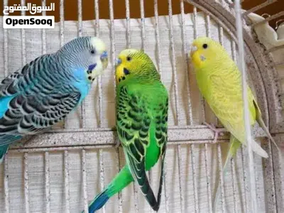 undefined 3