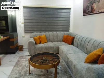 برادي زيبرا 3