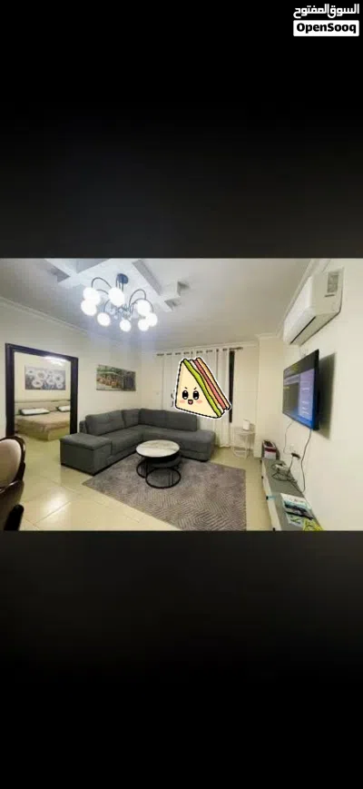 ابراهيم ابو زين 2