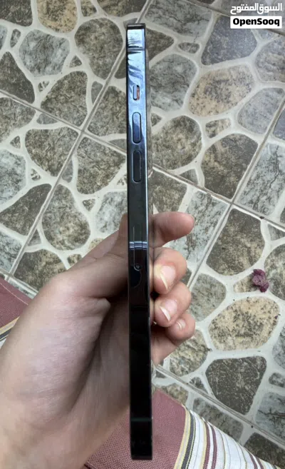 12 pro max 256 gb 4