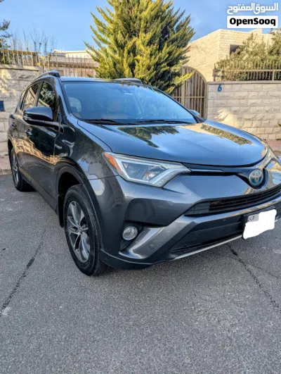 Toyota RAV 4 XLE 2