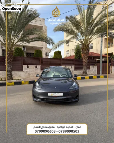 Tesla Model 3 Standard Plus 3