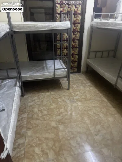 سكن شيرنج شباب 3