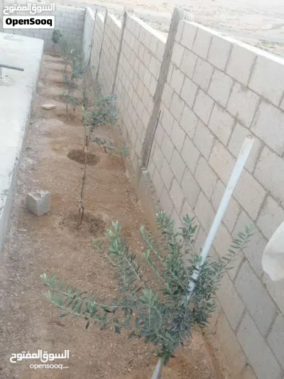 بيت للبيع في الزرقاء الجديدة اسكان الصحفيين 3