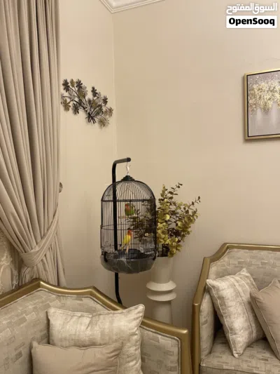 زوج ببغاء روز أليف مع قفص زينة فاخر مع ستاند 3