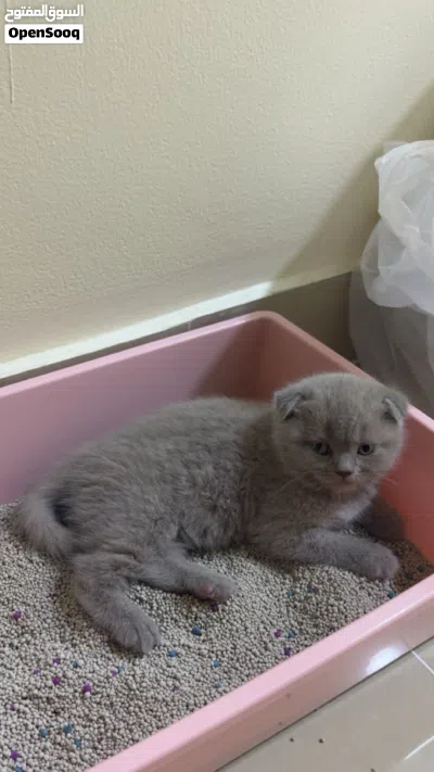 undefined 3