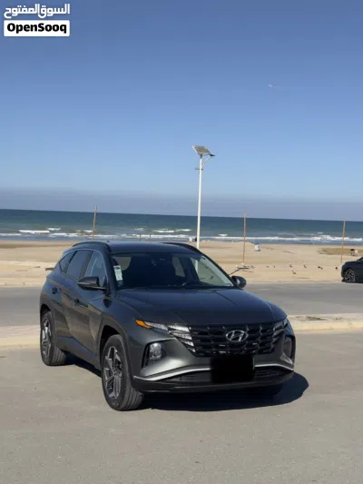 Hyundai Tucson GLS 2