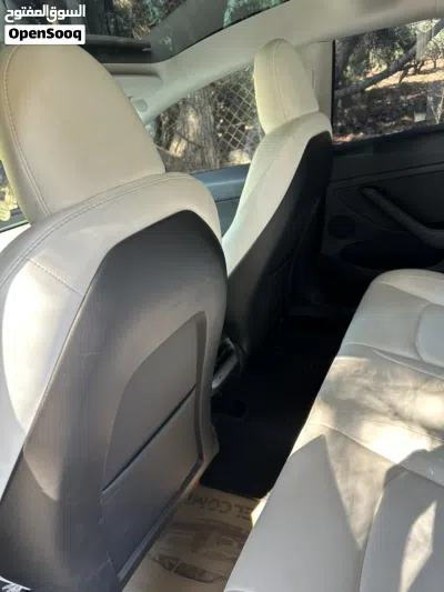 Tesla Model 3 Standard Plus 4