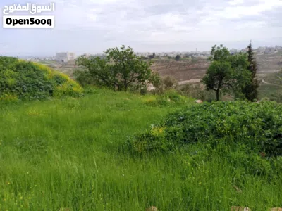 قطعة ارض للبيع ناطفة حوض البلد الحي العربي مساحة 2111 متر على شارعين قوشان مستقل واصل جميع الخدمات 4