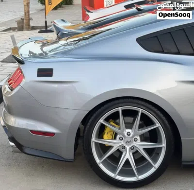 Ford Mustang Roush 2