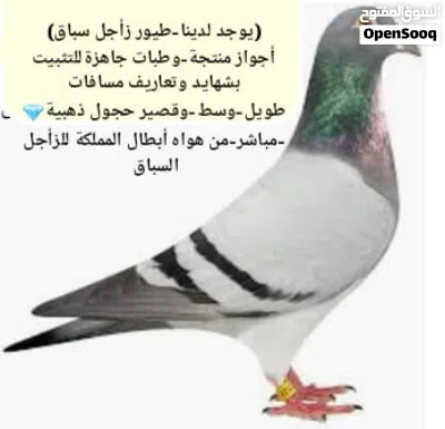 undefined 3