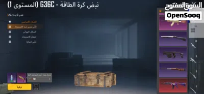ببجي حساب VIB 4