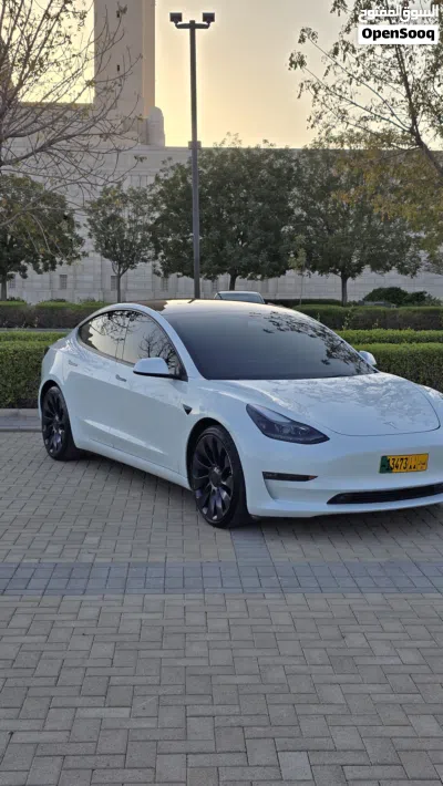 Tesla Model 3 Performance 2