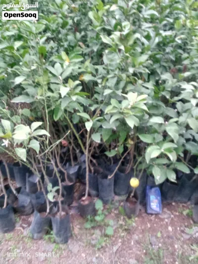 undefined 2