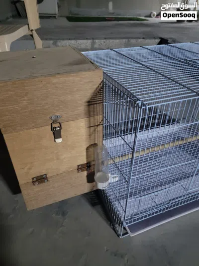 for male and female Big cage for sale with everything 3