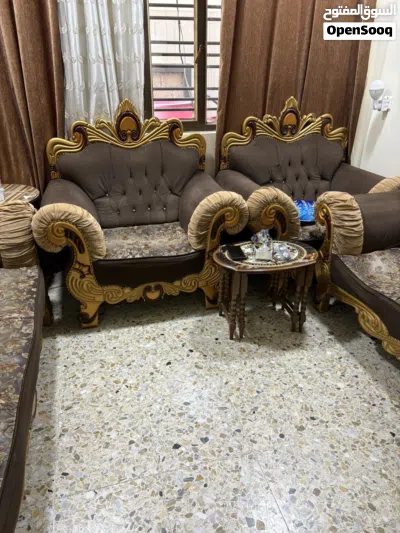 تخم درجة اولى 4