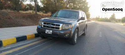 Ford Escape Standard 3