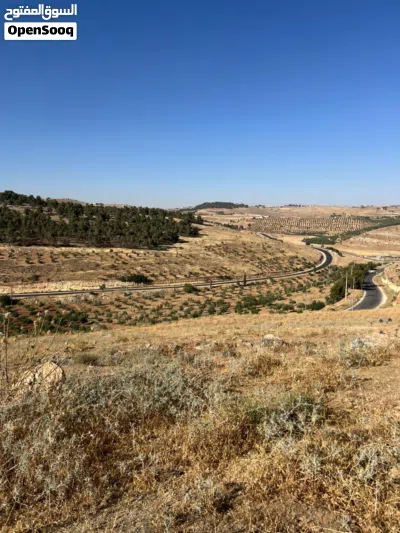 تملك ارض أجمل إطلالة مميزة ع غابات 2