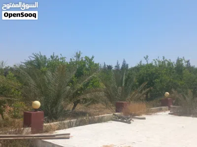 حوازه زراعية مشجره كامله 4