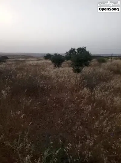 قطعة أرض للبيع ذيبان 3