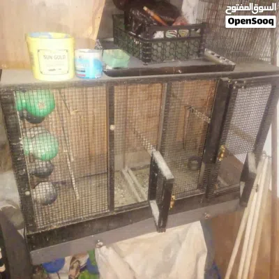 undefined 3