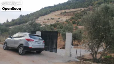 Hyundai Tucson GL 4